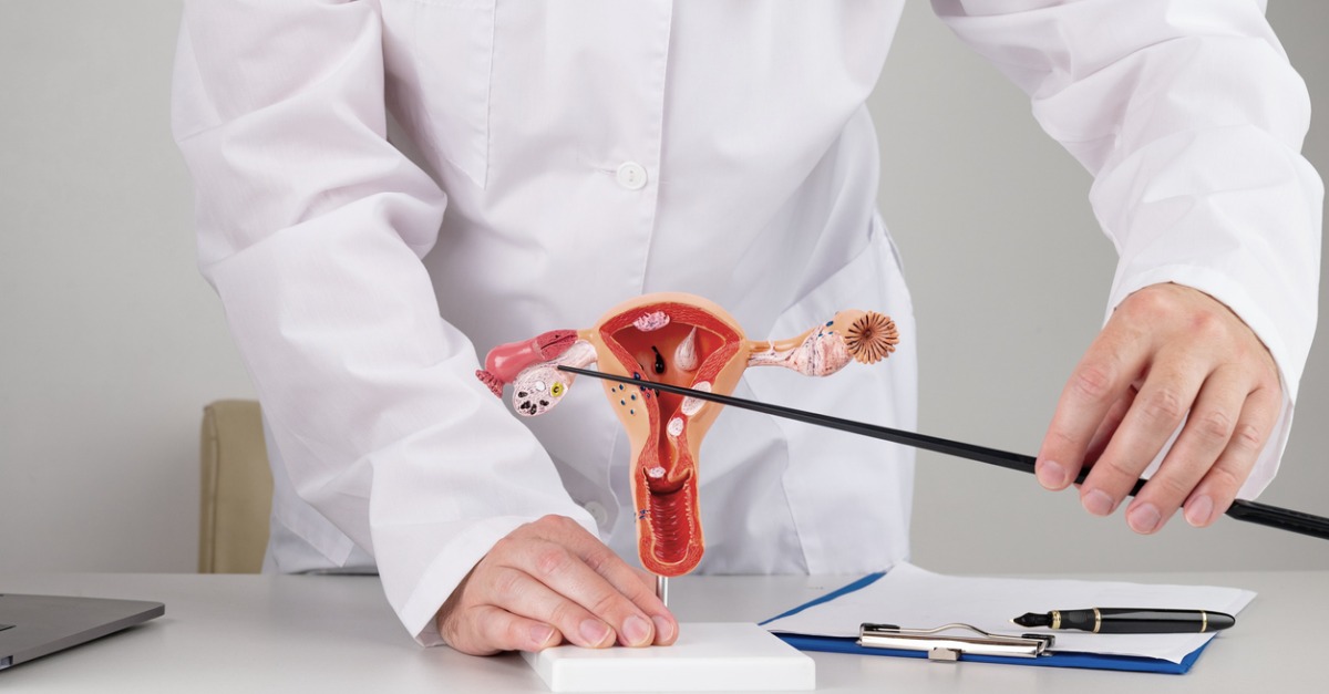 Gynecologist pointing at model of female reproductive system